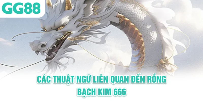 thuật ngữ liên quan đến Rong bach kim 666 