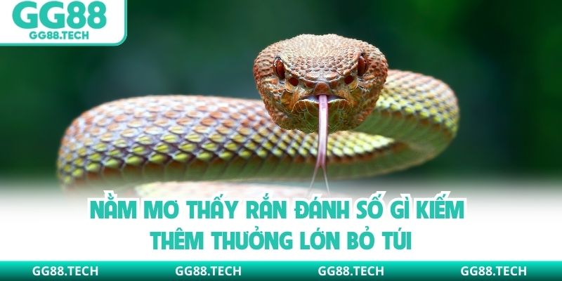 Nằm Mơ Thấy Rắn Đánh Số Gì Kiếm Thêm Thưởng Lớn Bỏ Túi